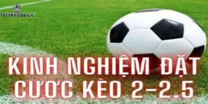 kèo tài xỉu 2-2.5